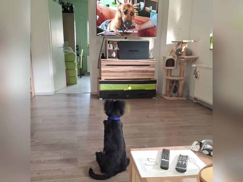 Lori ein absoluter Schatz