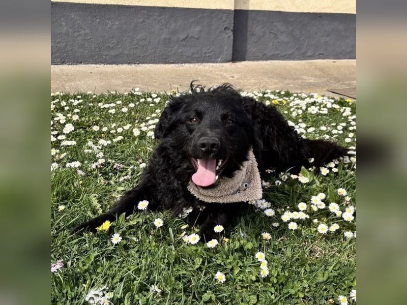 Niok der hübscheste, aber nicht fotogen