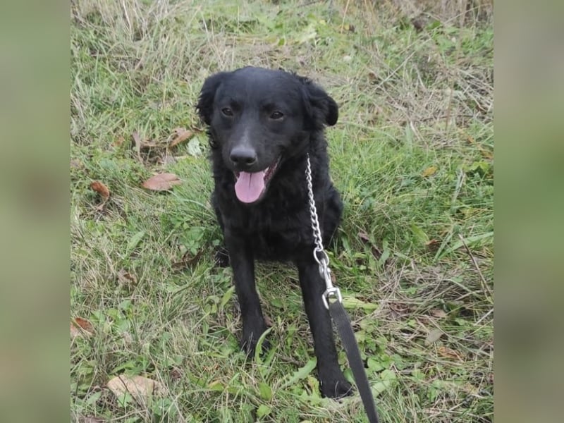 Maki ein sportlicher Schatz