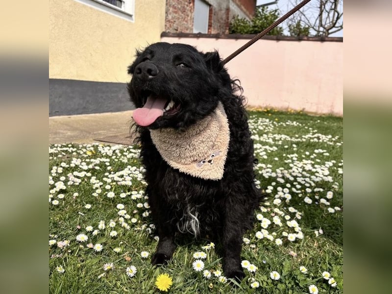 Niok der hübscheste, aber nicht fotogen