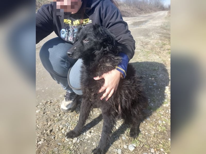 Miko braucht Sicherheit, Liebe und Geborgenheit