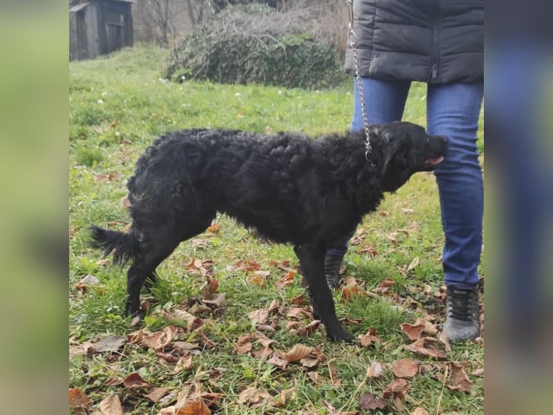 Maki ein sportlicher Schatz