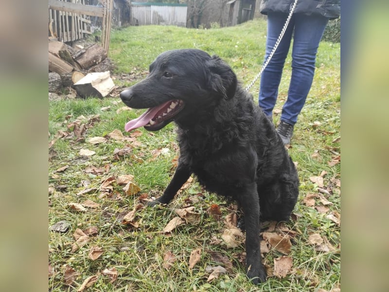 Maki ein sportlicher Schatz