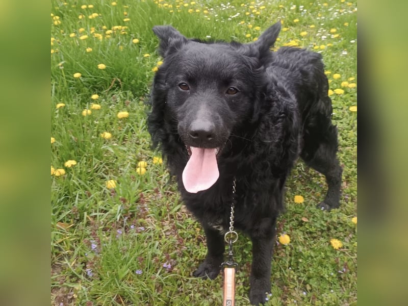 Teddy wartet auf seine Menschen