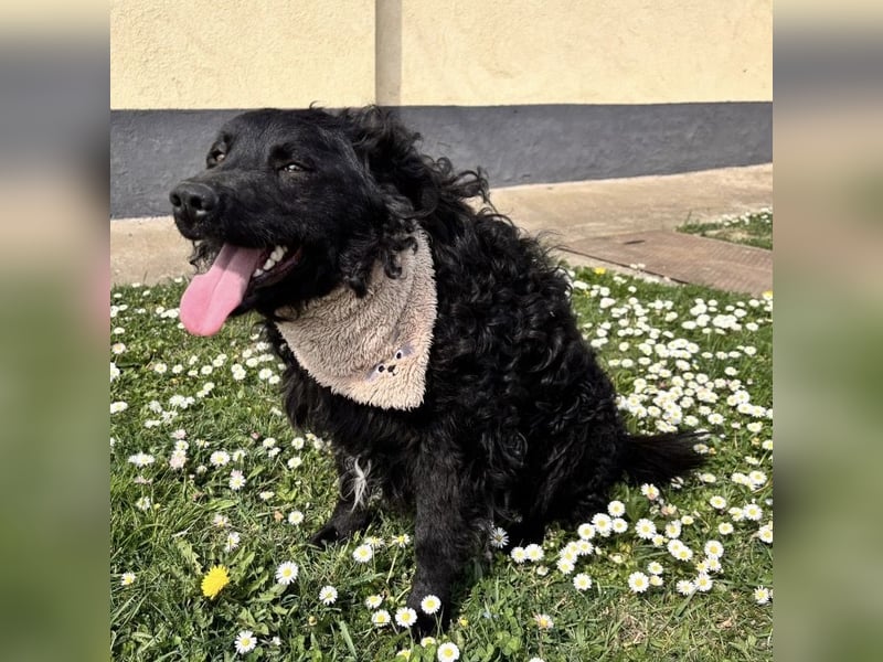 Niok der hübscheste, aber nicht fotogen