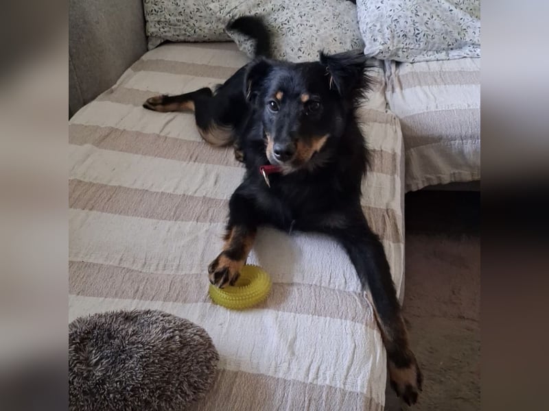 Lori ein absoluter Schatz