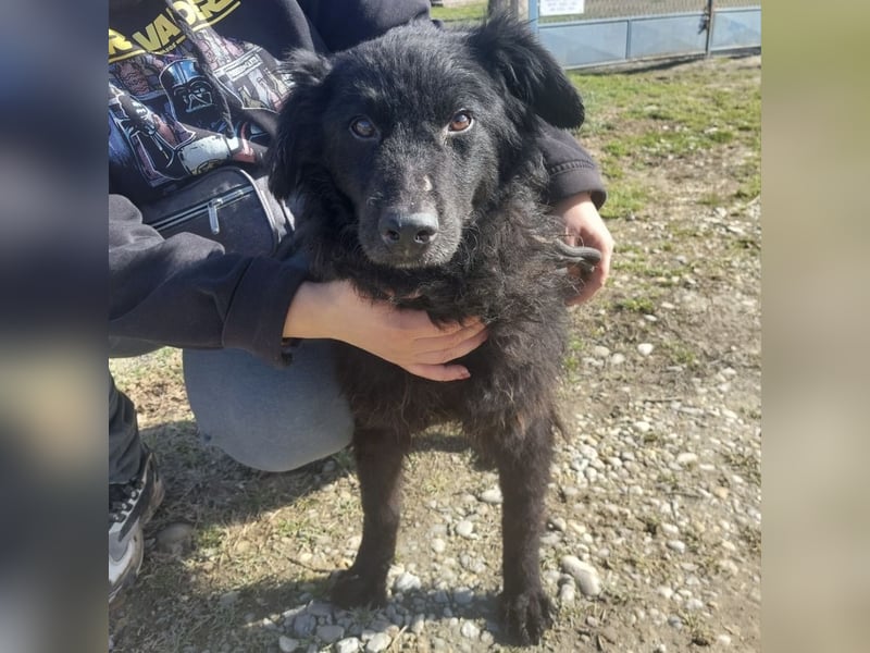 Miko braucht Sicherheit, Liebe und Geborgenheit