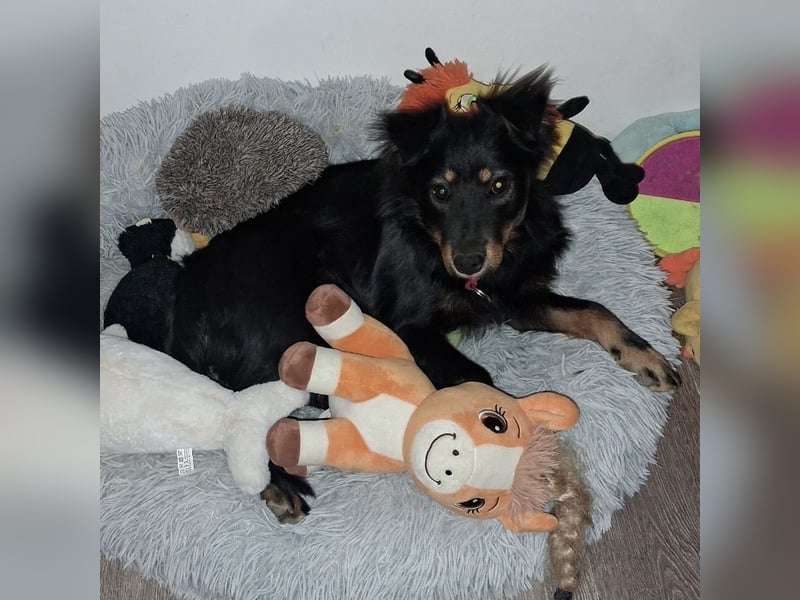 Lori ein absoluter Schatz