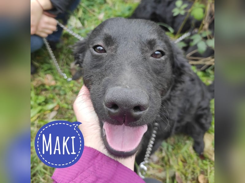 Maki ein sportlicher Schatz