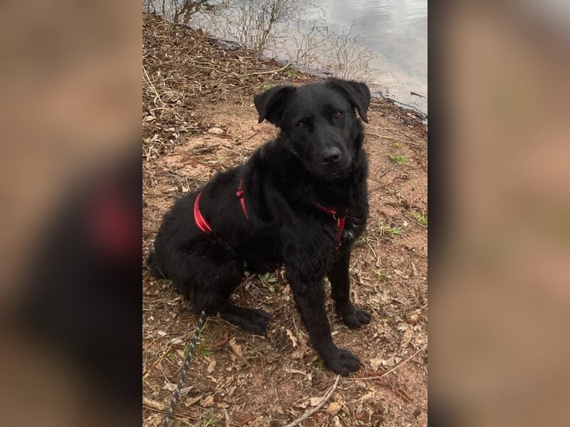 liebenswerte ASYA❤️wartet bereits in 36179 Bebra