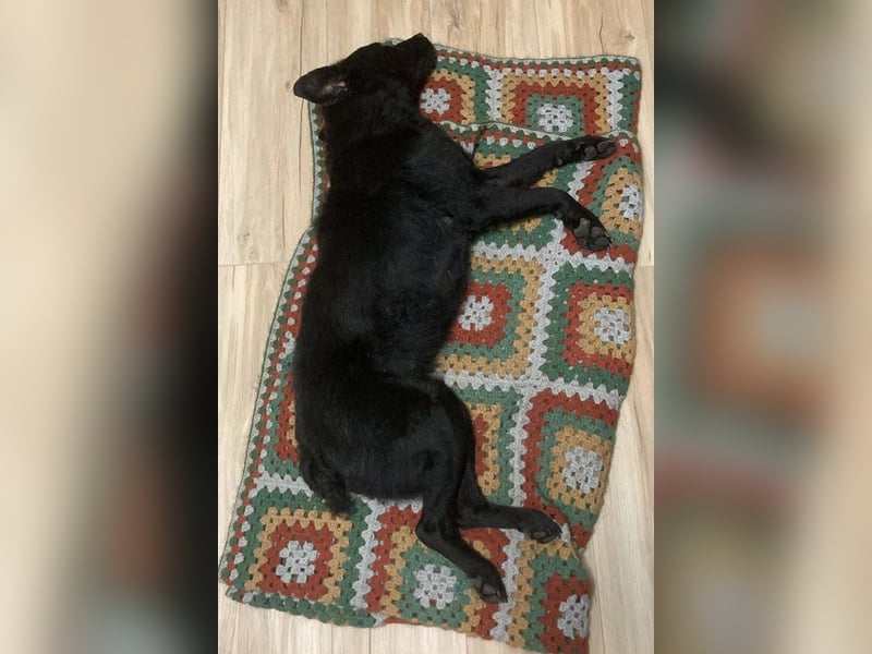 liebenswerte ASYA❤️wartet bereits in 36179 Bebra