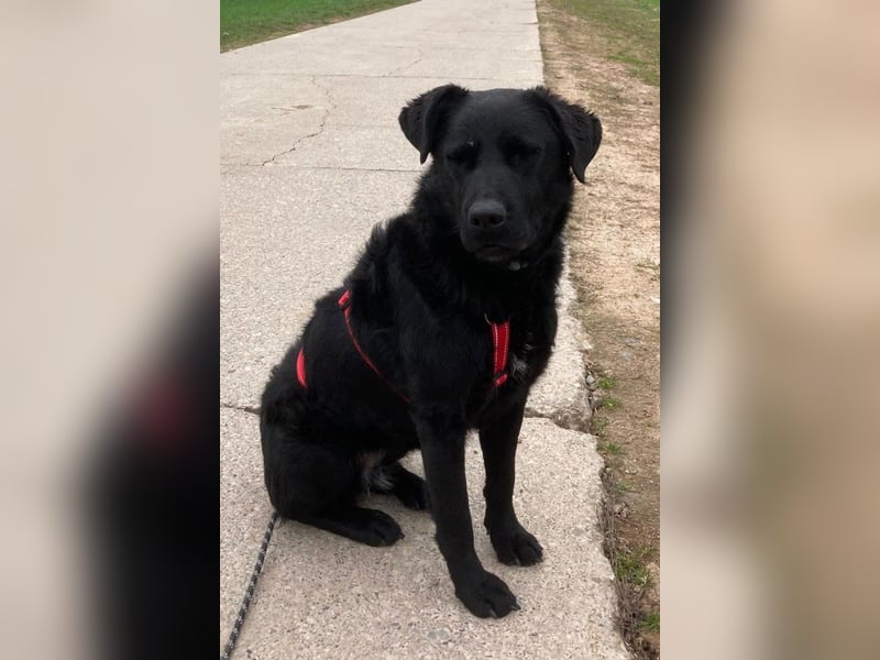 liebenswerte ASYA❤️wartet bereits in 36179 Bebra