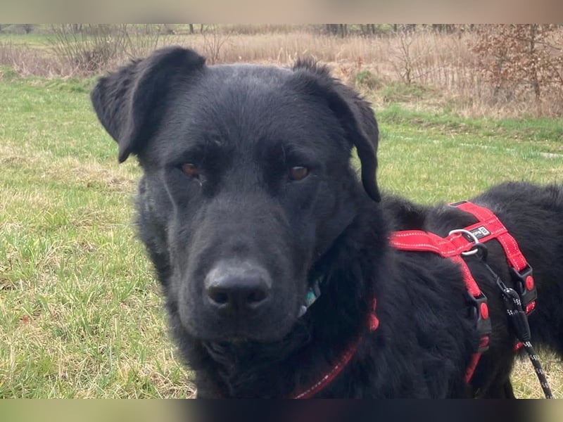 liebenswerte ASYA❤️wartet bereits in 36179 Bebra