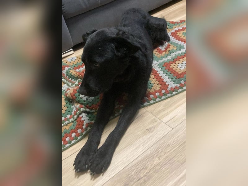 liebenswerte ASYA❤️wartet bereits in 36179 Bebra