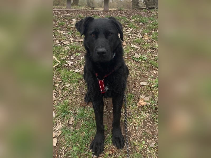 liebenswerte ASYA❤️wartet bereits in 36179 Bebra