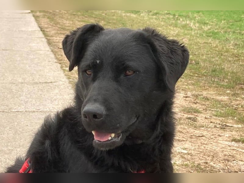 liebenswerte ASYA❤️wartet bereits in 36179 Bebra