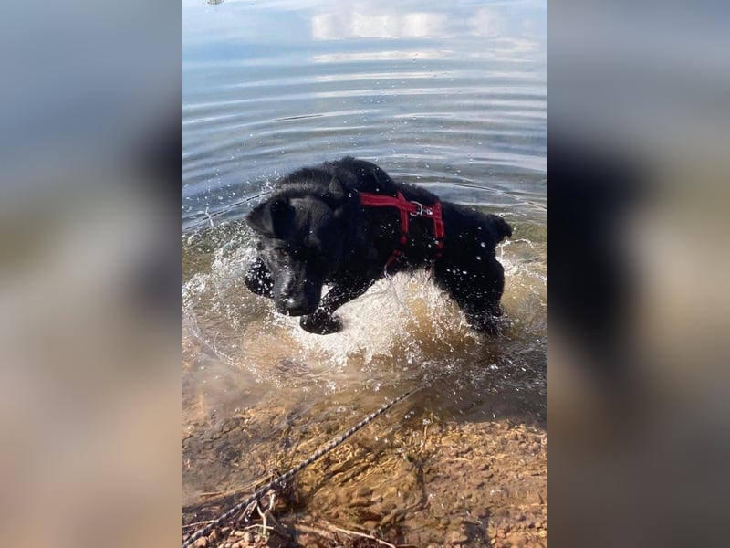 liebenswerte ASYA❤️wartet bereits in 36179 Bebra