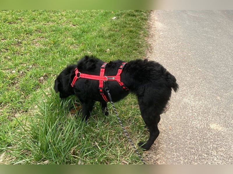 liebenswerte ASYA❤️wartet bereits in 36179 Bebra