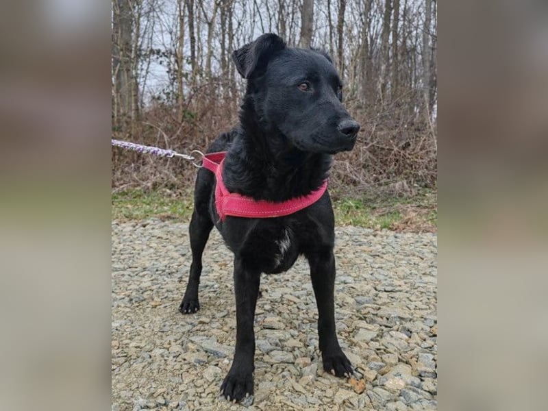 liebenswerte ASYA❤️wartet bereits in 36179 Bebra