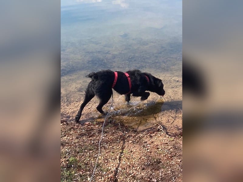 liebenswerte ASYA❤️wartet bereits in 36179 Bebra