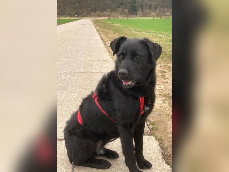 liebenswerte ASYA❤️wartet bereits in 36179 Bebra