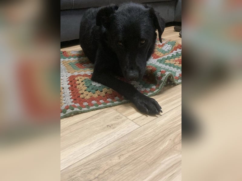 liebenswerte ASYA❤️wartet bereits in 36179 Bebra