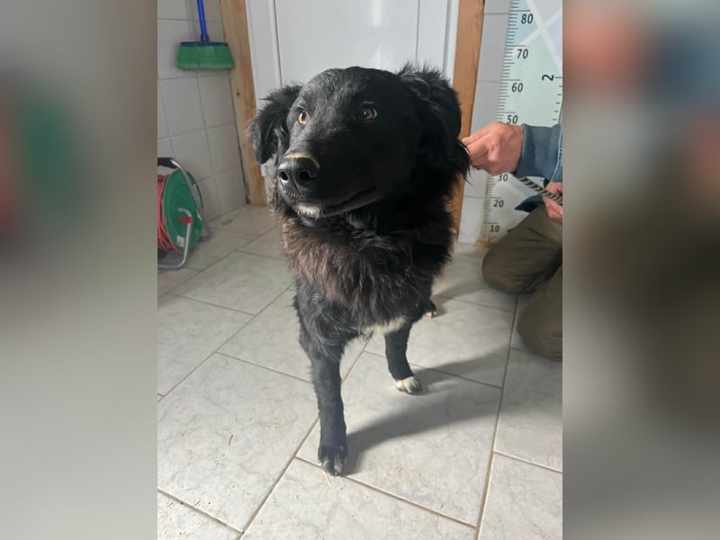 Zuckersüße Rea sucht ihre Herzensmenschen