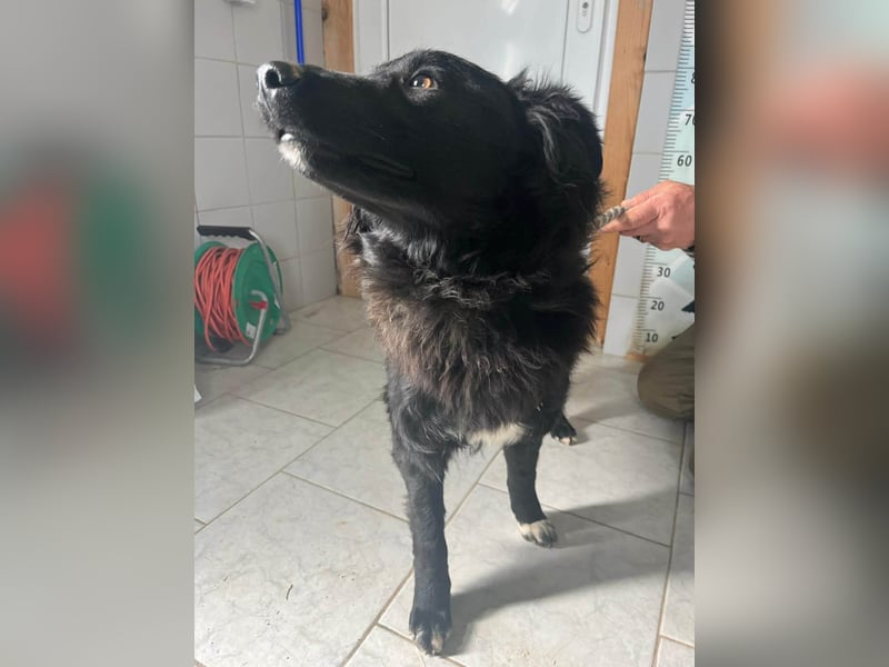 Zuckersüße Rea sucht ihre Herzensmenschen