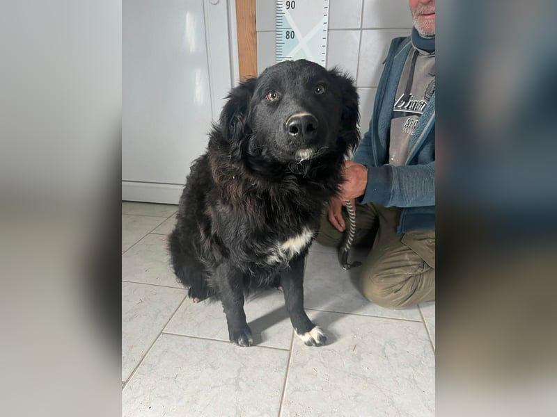 Zuckersüße Rea sucht ihre Herzensmenschen