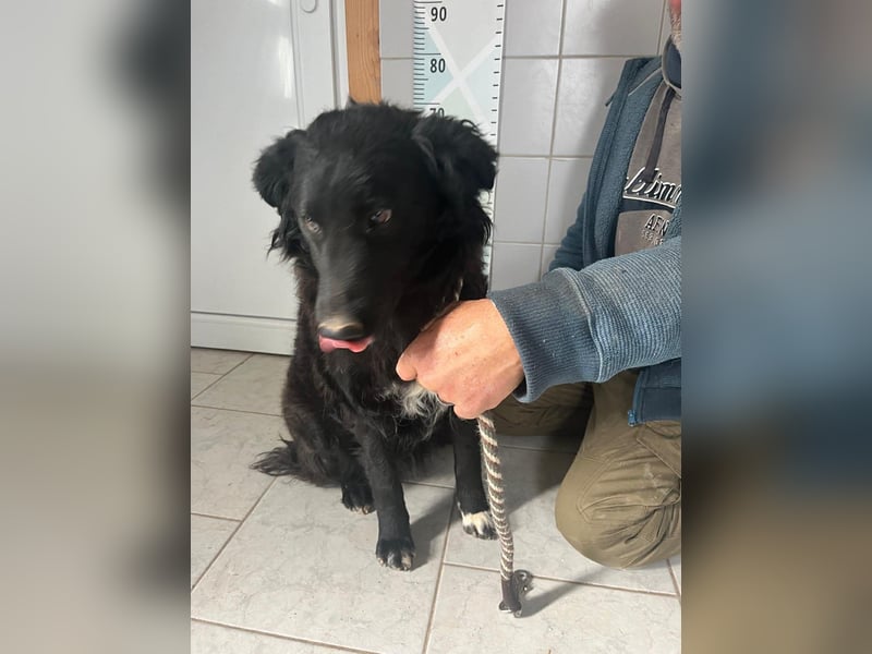 Zuckersüße Rea sucht ihre Herzensmenschen