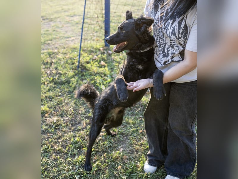 Gustav will lernen und rennen