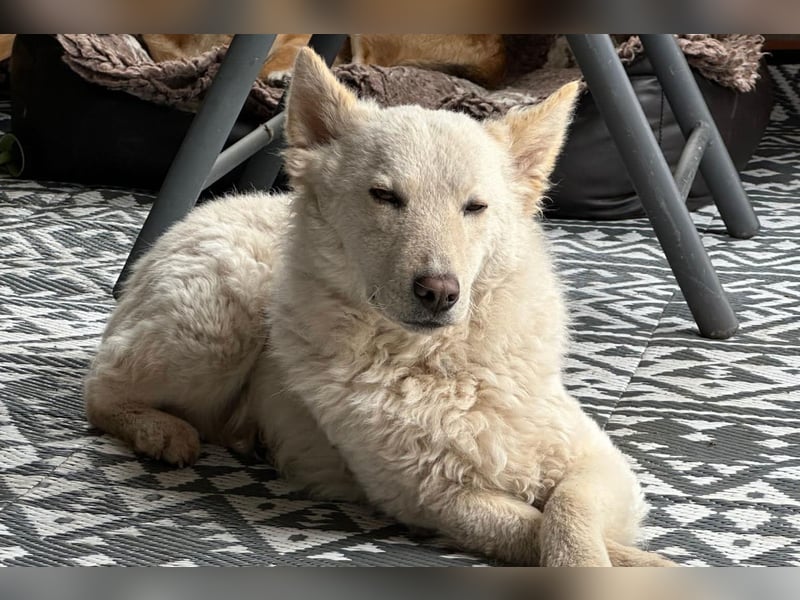 Oliver ❤️ wartet in 31621 Pennigsehl auf deinen Besuch