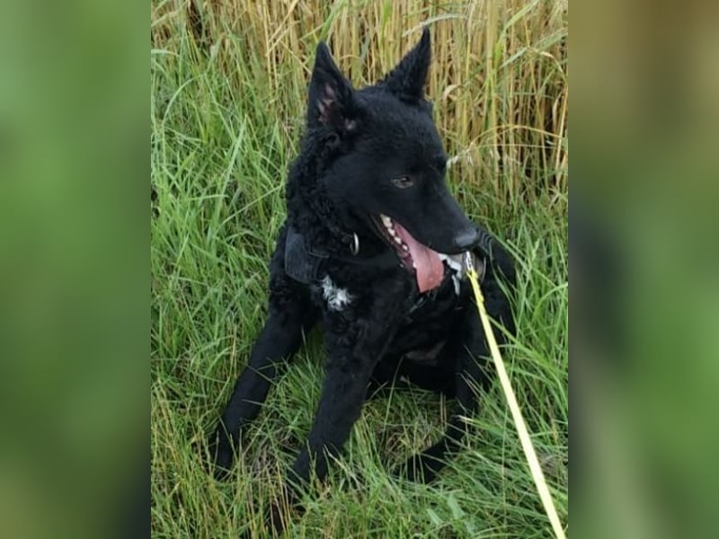 Chuck verliert sein Zuhause