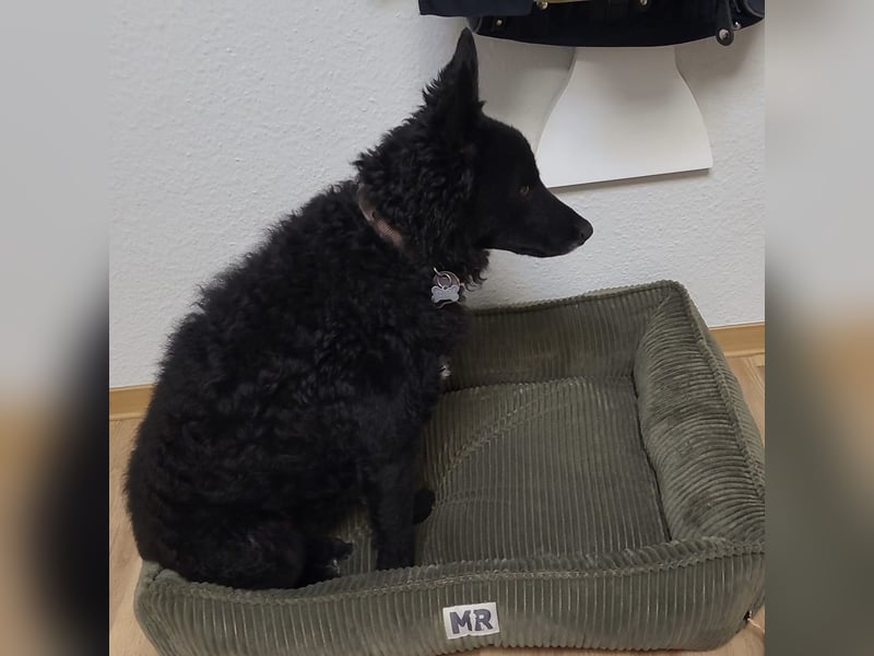 Chuck verliert sein Zuhause