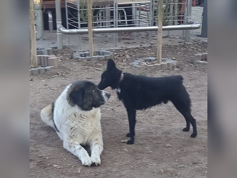 Chuck verliert sein Zuhause