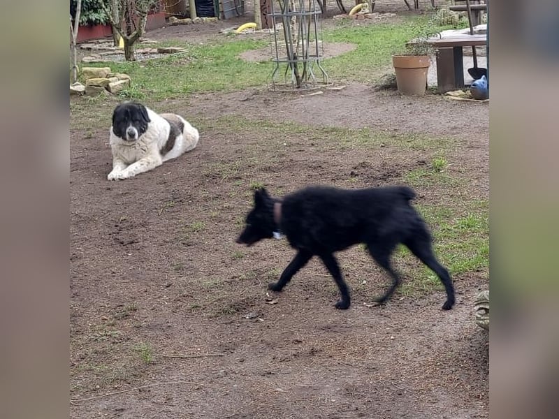 Chuck verliert sein Zuhause