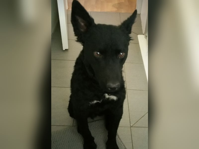 Chuck verliert sein Zuhause