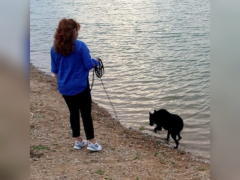 Chuck verliert sein Zuhause