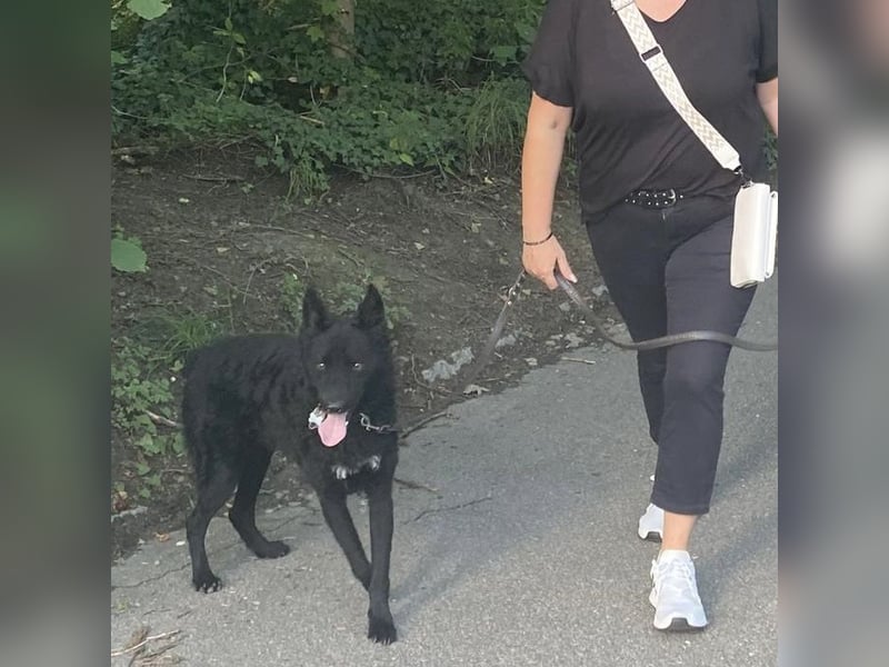 Chuck verliert sein Zuhause