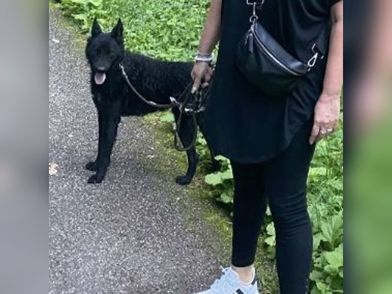 Chuck verliert sein Zuhause