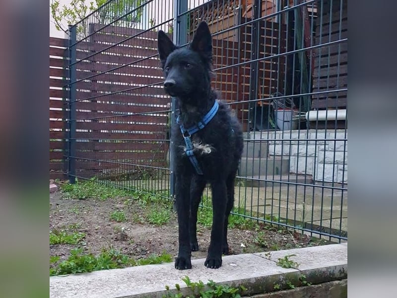 Chuck verliert sein Zuhause