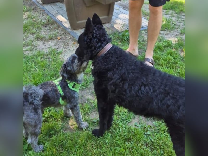 Chuck verliert sein Zuhause