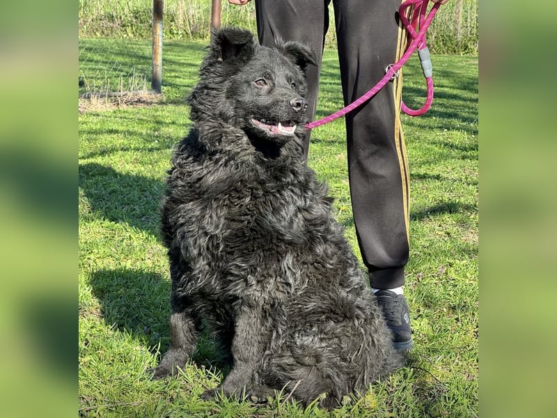 Brik - ein pummeliger Spatz