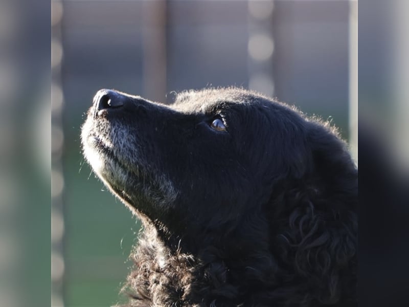 Ina ein braves ruhiges Mädchen