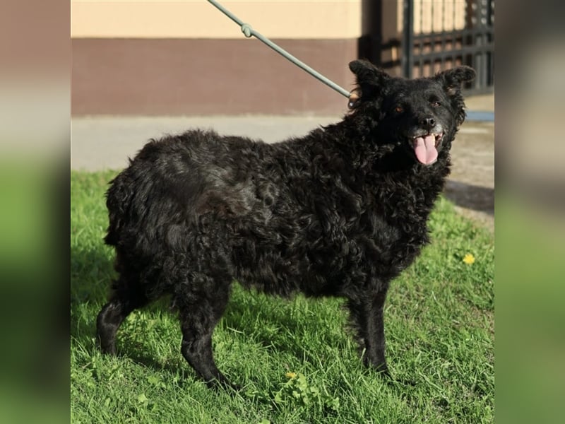 Ina ein braves ruhiges Mädchen