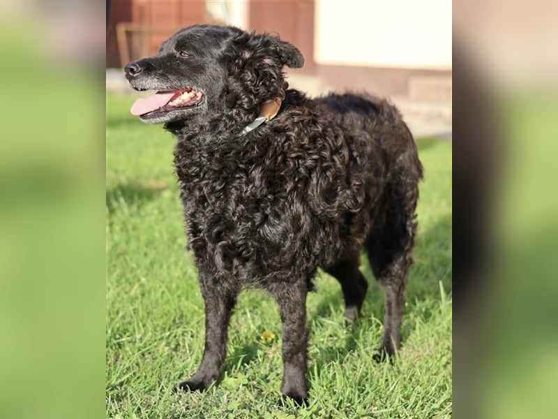 Ina ein braves ruhiges Mädchen