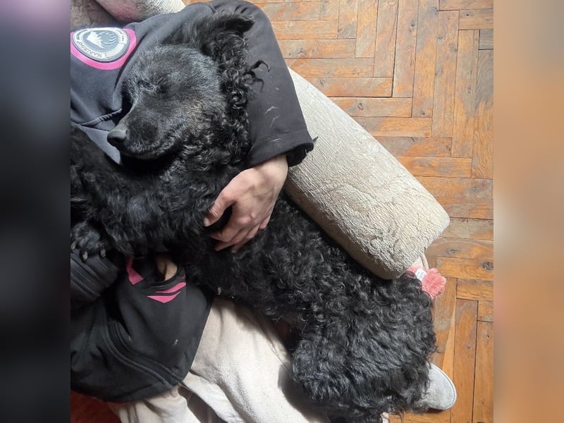 Gara eine wundervolle Freundin fürs Leben