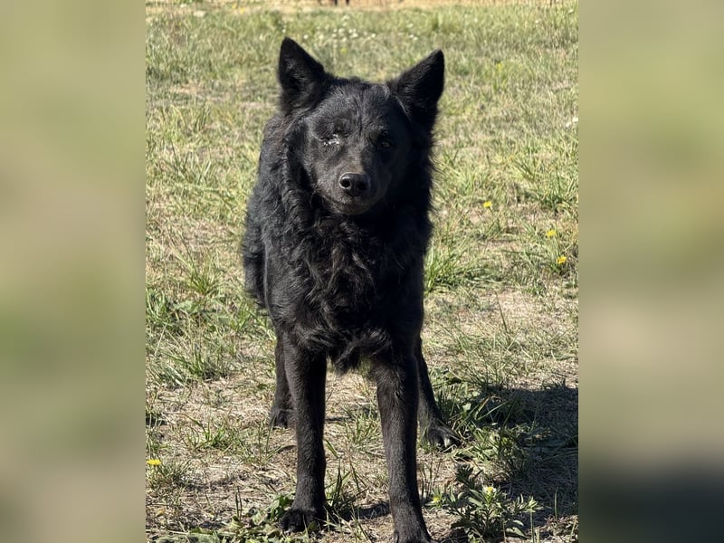 Tego ein Prachtexemplar mit Vergangenheit