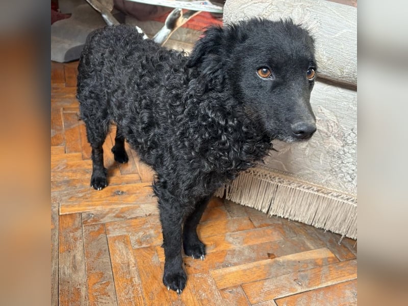 Gara eine wundervolle Freundin fürs Leben