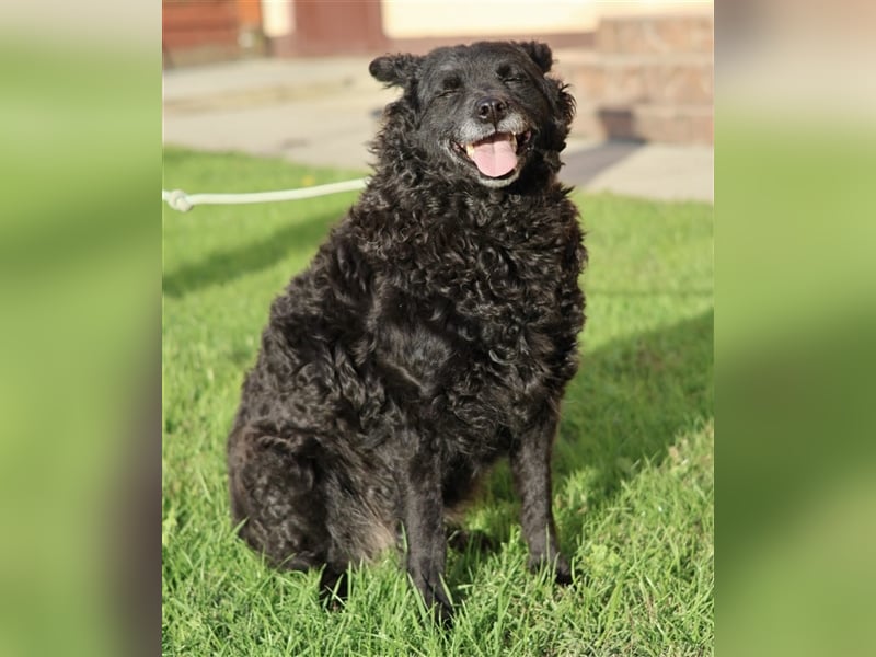 Ina ein braves ruhiges Mädchen